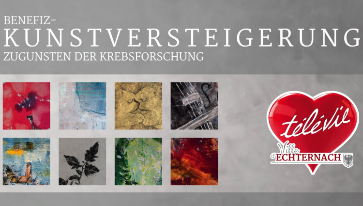 Télévie Versteigerung - IMG 1